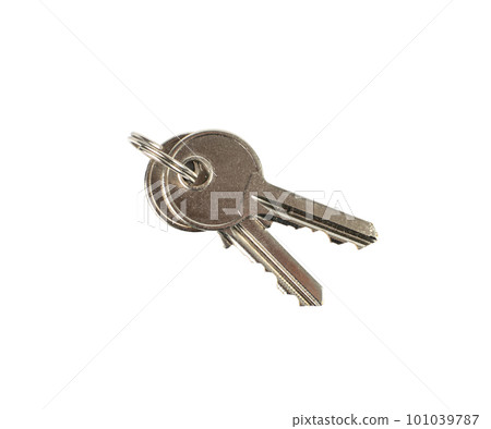 Door Key Isolated, House Keys on White Background Door Key Isolated, House Keys on White Background 101039787