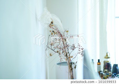 室內用乾花 室內用乾花 101039933