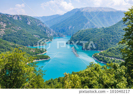 Aerial view of Piva lake or Pivsko Jezero between hills covered with green trees 101040217