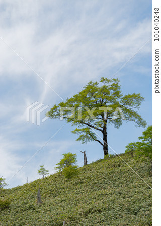 Refreshing Fujimidai plateau Refreshing Fujimidai plateau 101040248