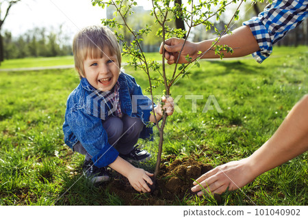 little boy helping his father to plant the tree while working together in the garden. 101040902