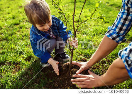 little boy helping his father to plant the tree while working together in the garden. little boy helping his father to plant the tree while working together in the garden. 101040903