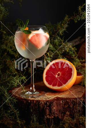 Gin and Tonic cocktail with grapefruit and mint. Gin and Tonic cocktail with grapefruit and mint. 101041064