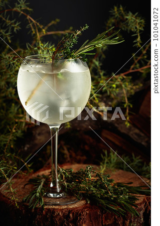 Gin and Tonic cocktail with rosemary and thyme. 101041072