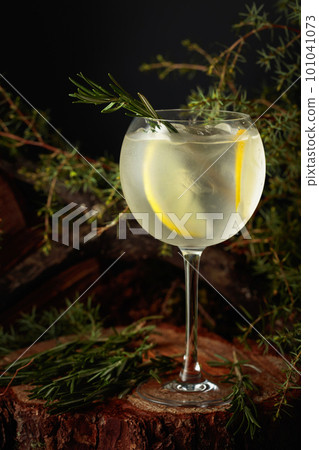 Gin and Tonic cocktail with lemon and rosemary. 101041073