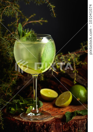 Gin and Tonic cocktail with lime and mint. 101041074