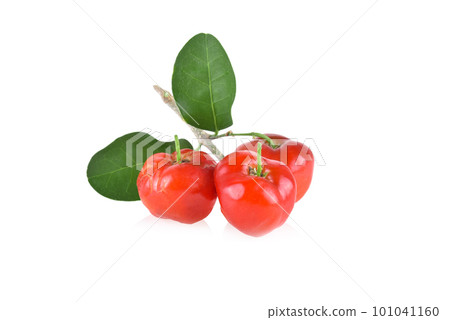 Acerola small cherry fruit with leaf isolated on white background. Acerola small cherry fruit with leaf isolated on white background. 101041160