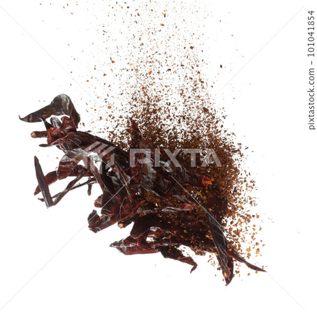 Dried Red hot Chilli fall down explosion, dried Red Chilli float explode, abstract cloud fly. Mix ground powder Chillis splash throwing in Air. White background Isolated high speed shutter, freeze 101041854