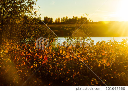 Beautiful sunset on river Kymijoki at autumn, Finland. Beautiful sunset on river Kymijoki at autumn, Finland. 101042668