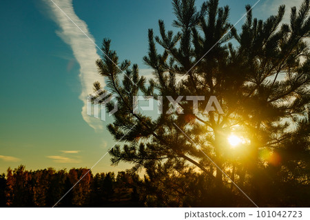 Beautiful sunset on river Kymijoki at autumn, Finland. 101042723