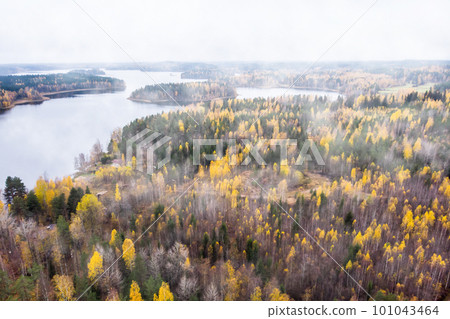 Aerial view of foggy lake and colorful forests on a autumn day in Finland. Drone photography 101043464