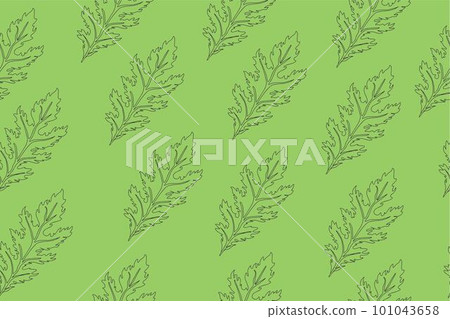 Seamless pattern of green leaves of Mizuna lettuce. Vector illustration of Japanese mustard Seamless pattern of green leaves of Mizuna lettuce. Vector illustration of Japanese mustard 101043658