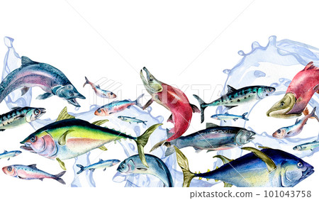 Banner of various sea fish and sea wave watercolor illustration isolated on white. 101043758