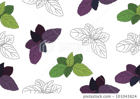 Seamless pattern of green and purple basil leaves. Vector illustration 101043824