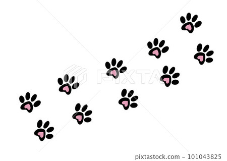 An imprint of a cat's or dog's paw print on a white background. Animal tracks isolated on a white background. Illustration of a path with paw prints.Vector  101043825