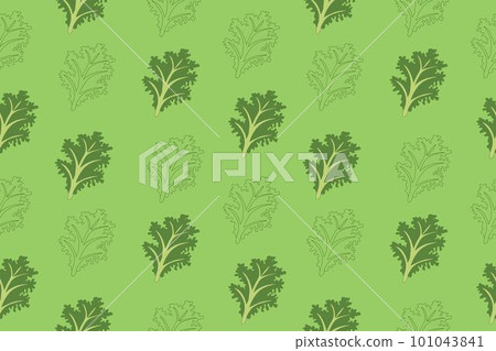 Curly kale, dark green leafy vegetable. Leaf cabbage vector illustration. Green leafy vegetables seamless. Healthy diet, vegetarian food salads, textile print. Vector  101043841