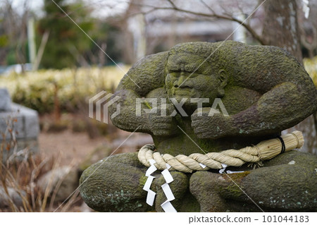 Sacrificial tiger figurine of Tamonin Temple in Saitama Prefecture 101044183