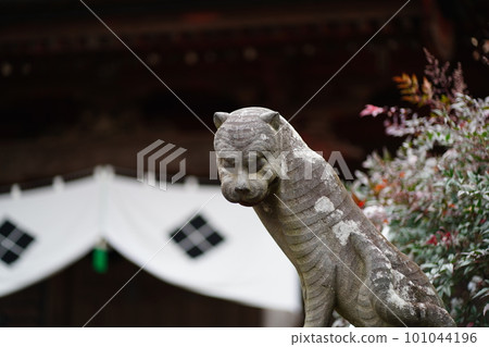 Sacrificial tiger figurine of Tamonin Temple in Saitama Prefecture 101044196