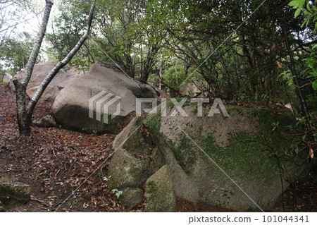 高知東仁田場遺跡 高知東仁田場遺跡 101044341