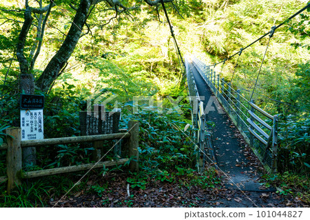 通往鳥取縣東白郡大山瀧琴浦町的大山瀧吊橋 101044827