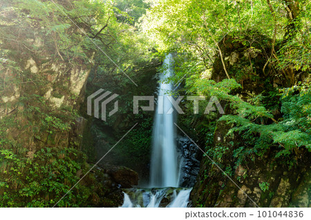 [Japan's Top 100 Waterfalls] Oyama Falls, Upper Level 1, Kotoura-cho, Tottori Prefecture 101044836