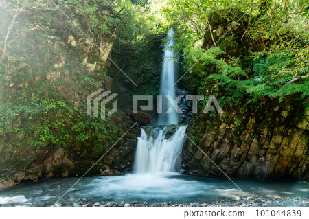 [Japan's Top 100 Waterfalls] Daisen Falls 4 in Autumn, Kotoura-cho, Tottori Prefecture, Tohaku-gun 101044839