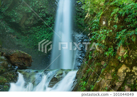 [Japan's Top 100 Waterfalls] Oyama Falls Lower Upper and Lower Lower Kotoura Town, Tottori Prefecture 101044849