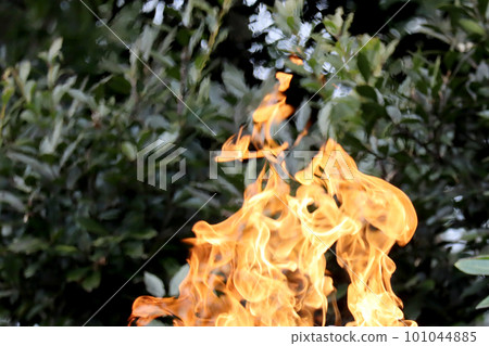 Flame image 1 Flame image 1 101044885