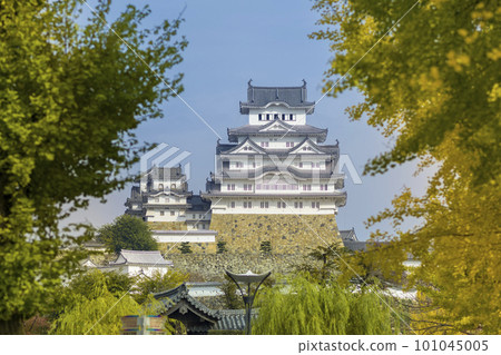 黃葉環繞的姬路城塔/日本兵庫縣姬路城 101045005