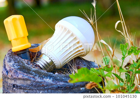 An orange screwdriver and a white LED lamp in an old stump in nature An orange screwdriver and a white LED lamp in an old stump in nature 101045130