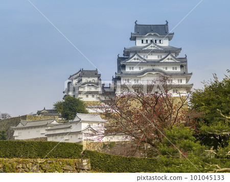 世界遺產姬路城 / 日本兵庫縣姬路城 世界遺產姬路城 / 日本兵庫縣姬路城 101045133