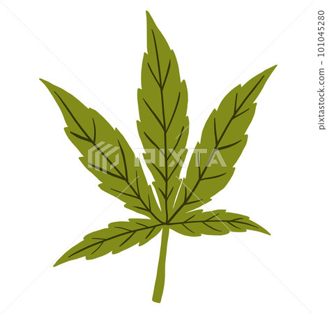 simplicity cannabis leaf freehand drawing flat design. simplicity cannabis leaf freehand drawing flat design. 101045280