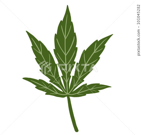 simplicity cannabis leaf freehand drawing flat design. simplicity cannabis leaf freehand drawing flat design. 101045282