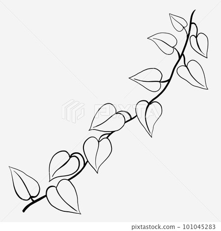 Floral ivy drawing decorative ornament flat design. Floral ivy drawing decorative ornament flat design. 101045283