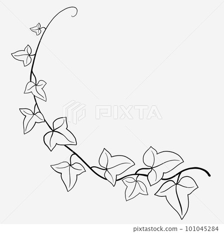 Floral ivy drawing decorative ornament flat design. Floral ivy drawing decorative ornament flat design. 101045284