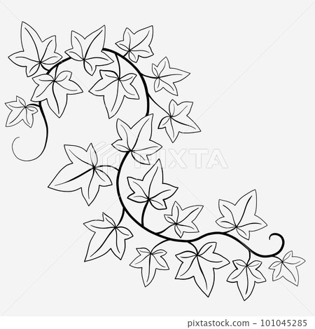Floral ivy drawing decorative ornament flat design. Floral ivy drawing decorative ornament flat design. 101045285