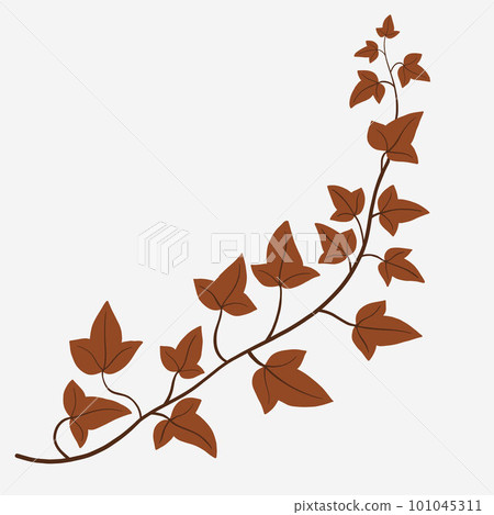 Floral ivy drawing decorative ornament flat design. 101045311