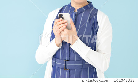 有智能手機的女性手 101045335