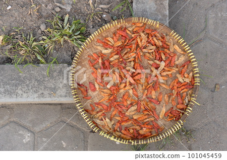 在漏勺上曬乾的辣椒 101045459