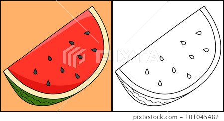 Sliced Watermelon Fruit Coloring Page Illustration Sliced Watermelon Fruit Coloring Page Illustration 101045482