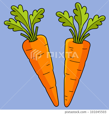 Carrots Vegetable Colored Cartoon Illustration Carrots Vegetable Colored Cartoon Illustration 101045503
