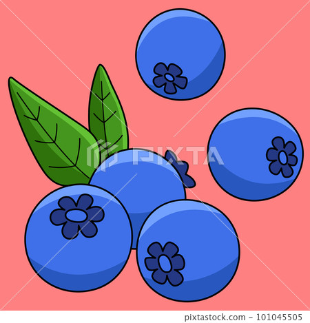 Blueberry Fruit Colored Cartoon Illustration Blueberry Fruit Colored Cartoon Illustration 101045505