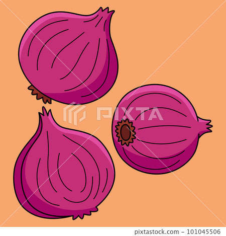 Onion Vegetable Colored Cartoon Illustration Onion Vegetable Colored Cartoon Illustration 101045506