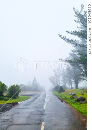 Thick fog on a wet mountain road. A dangerous road. Thick fog on a wet mountain road. A dangerous road. 101045620