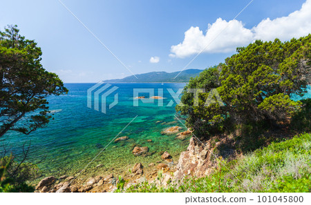 Cupabia beach. Summer landscape of Corsica island on a sunny day Cupabia beach. Summer landscape of Corsica island on a sunny day 101045800