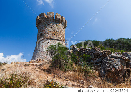 Campanella tower, one of the Genoese towers of Corsica island 101045804
