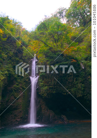 [日本瀑布百選] 2011年大山瀑布倒塌前的風景 1 鳥取縣琴浦町 101045886