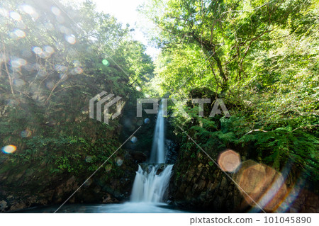 [Japan's Top 100 Waterfalls] Daisen Falls and Ghosts in Autumn 1 Kotoura Town, Tottori Prefecture 101045890