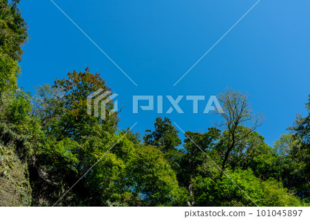 [Japan's Top 100 Waterfalls] Cliffs and Blue Sky Around Oyama Falls 2 Kotoura-cho, Tottori Prefecture 101045897