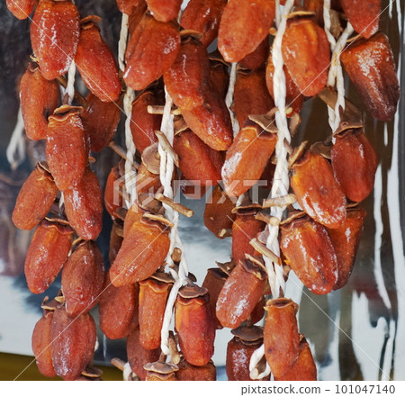 hanging dried persimmons 101047140